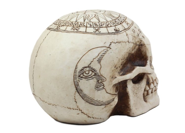 Astrology Skull - JP's Horror