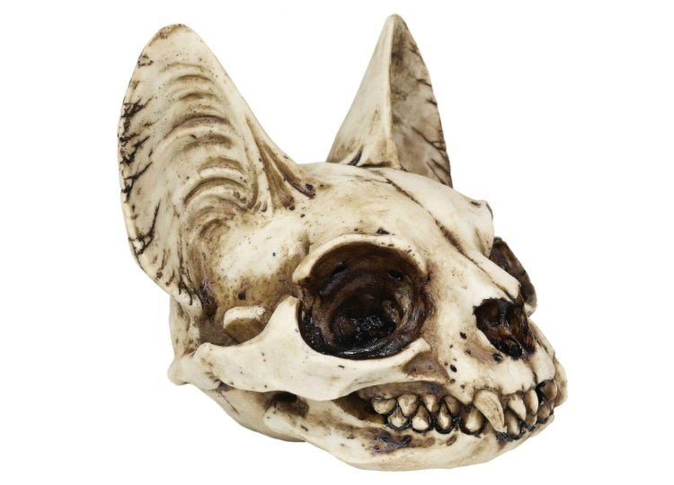 Bastet Skull - JP's Horror