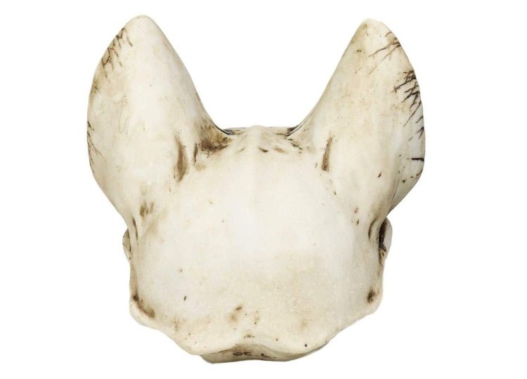 Bastet Skull - JP's Horror