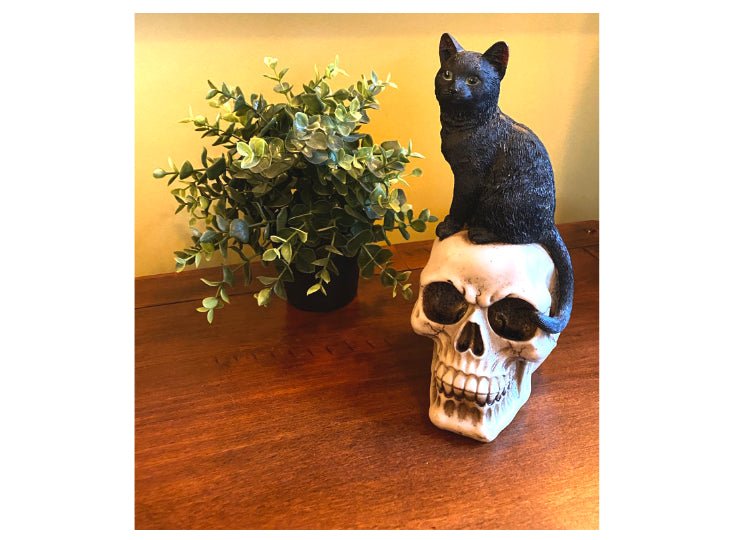 Black Cat on Skull - JP's Horror