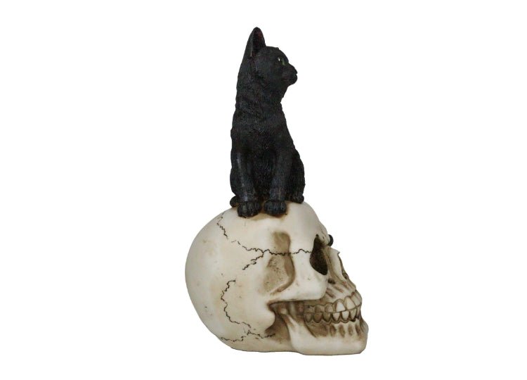 Black Cat on Skull - JP's Horror