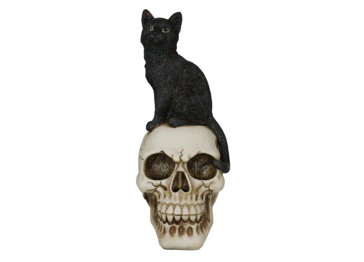 Black Cat on Skull - JP's Horror