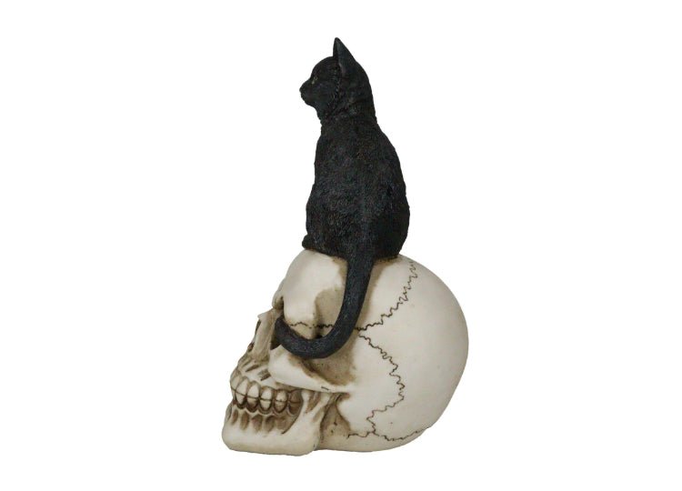 Black Cat on Skull - JP's Horror