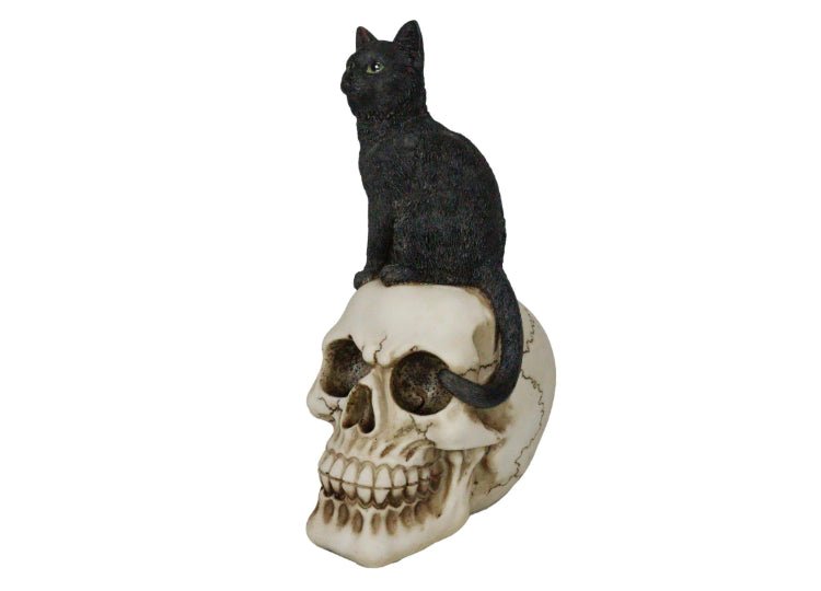 Black Cat on Skull - JP's Horror