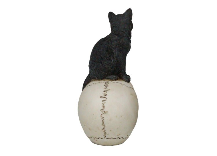 Black Cat on Skull - JP's Horror