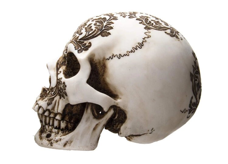 Damask Skull - JP's Horror