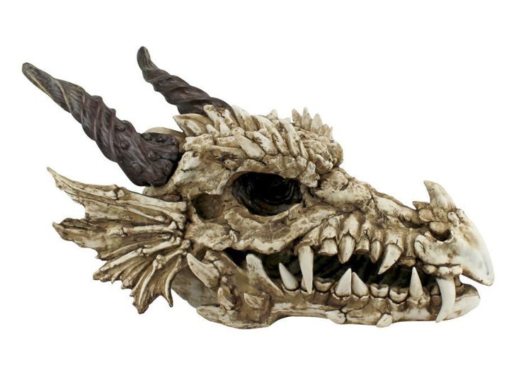 Dragon Skull (Large) - JP's Horror