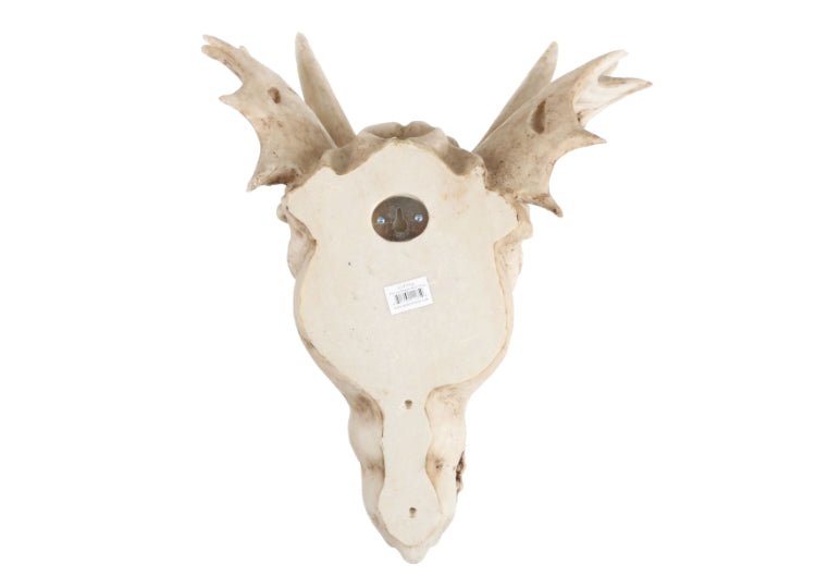 Dragon Skull (Medium) - JP's Horror