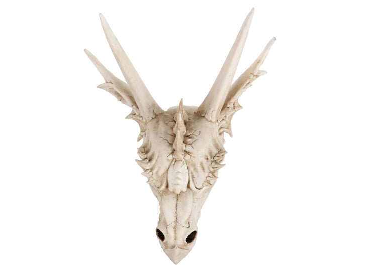 Dragon Skull (Medium) - JP's Horror