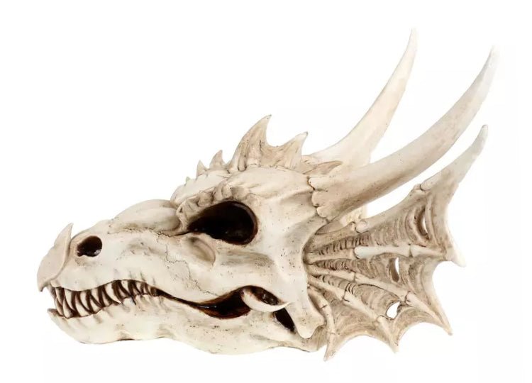 Dragon Skull (Medium) - JP's Horror