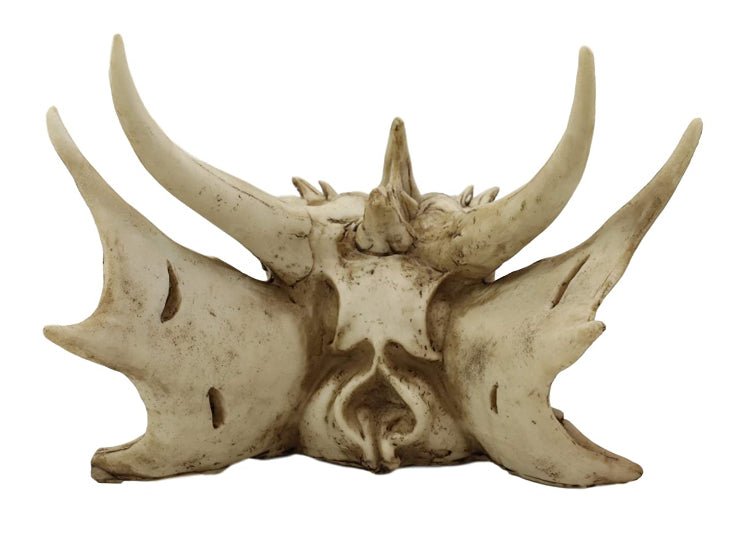 Dragon Skull (Small) - JP's Horror