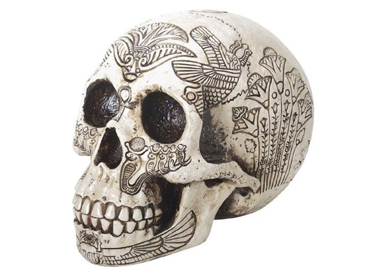 Egyptian Skull - JP's Horror