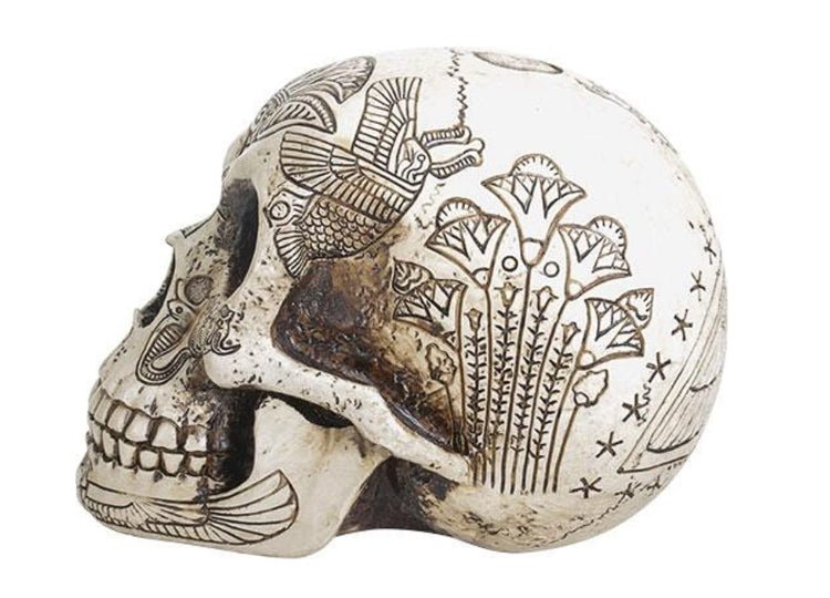 Egyptian Skull - JP's Horror