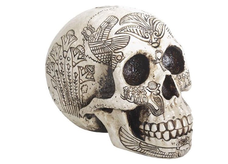 Egyptian Skull - JP's Horror
