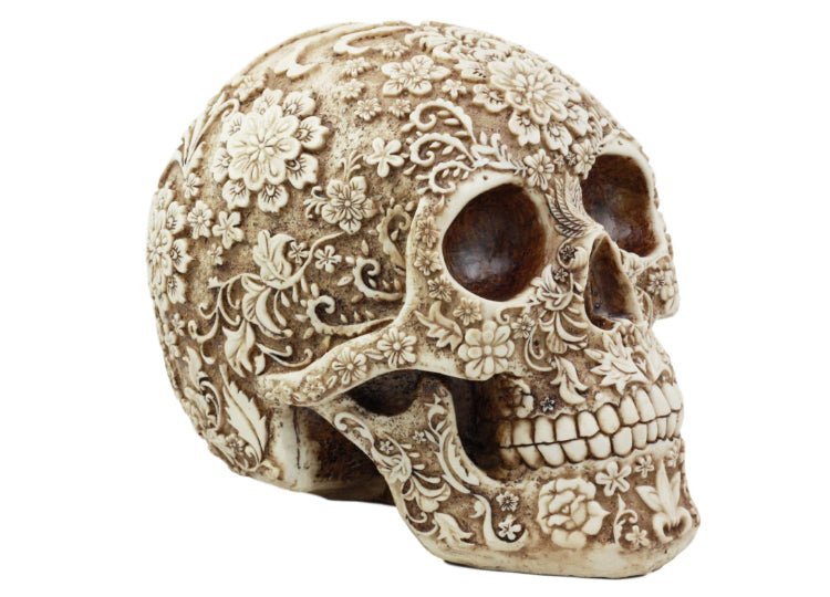 Floral Skull - JP's Horror