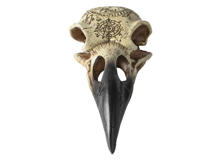 Omega Raven Skull - JP's Horror