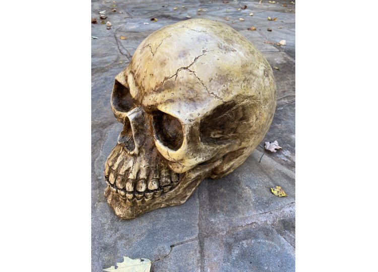 Oversized Skull - JP's Horror
