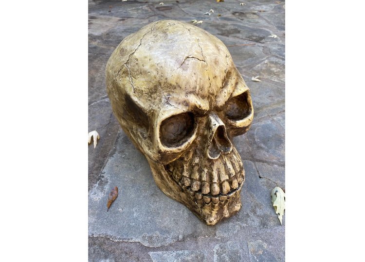 Oversized Skull - JP's Horror