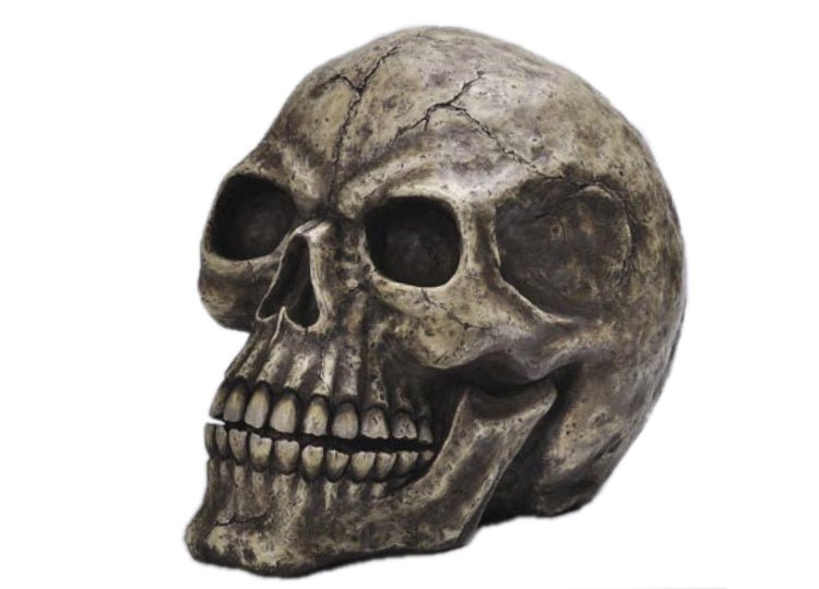 Oversized Skull - JP's Horror